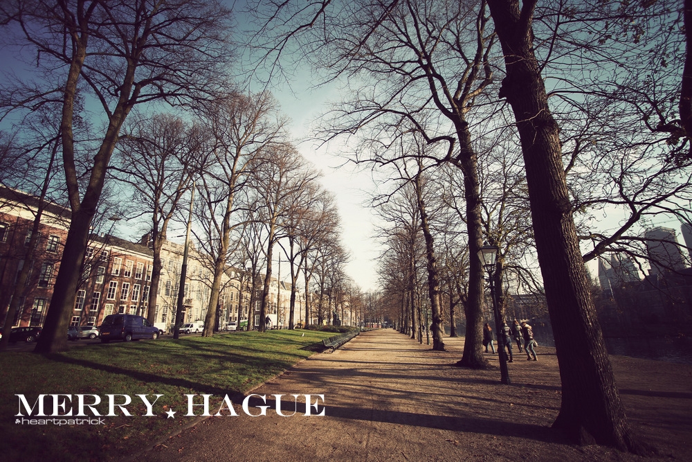 heartpatrick the hague antwerp leiden