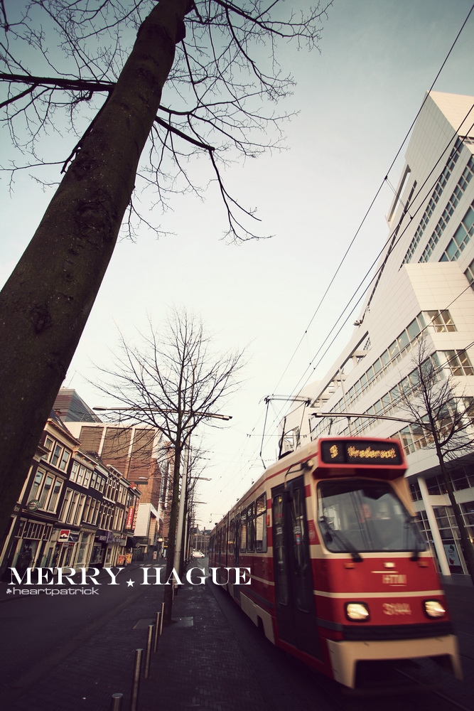 heartpatrick the hague antwerp leiden
