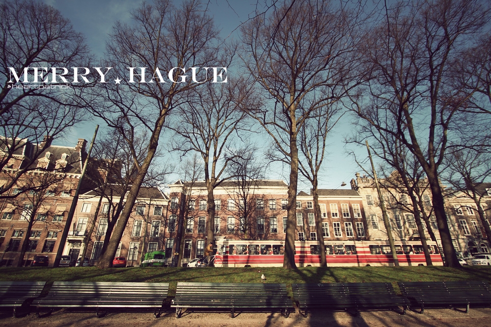 heartpatrick the hague antwerp leiden