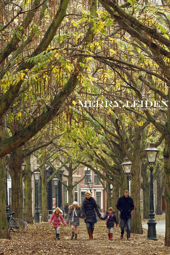 heartpatrick the hague antwerp leiden