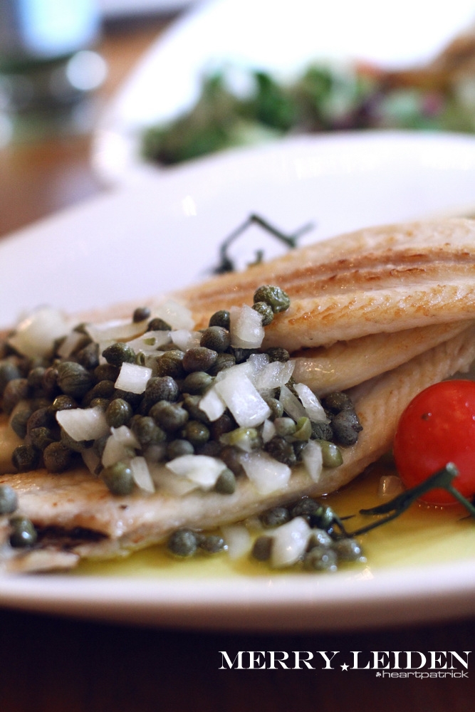 heartpatrick the hague antwerp leiden