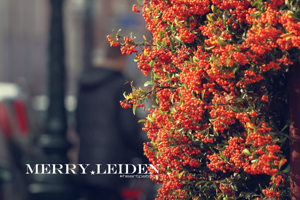 heartpatrick the hague antwerp leiden