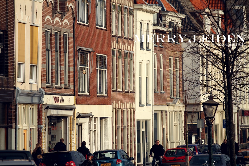 heartpatrick the hague antwerp leiden