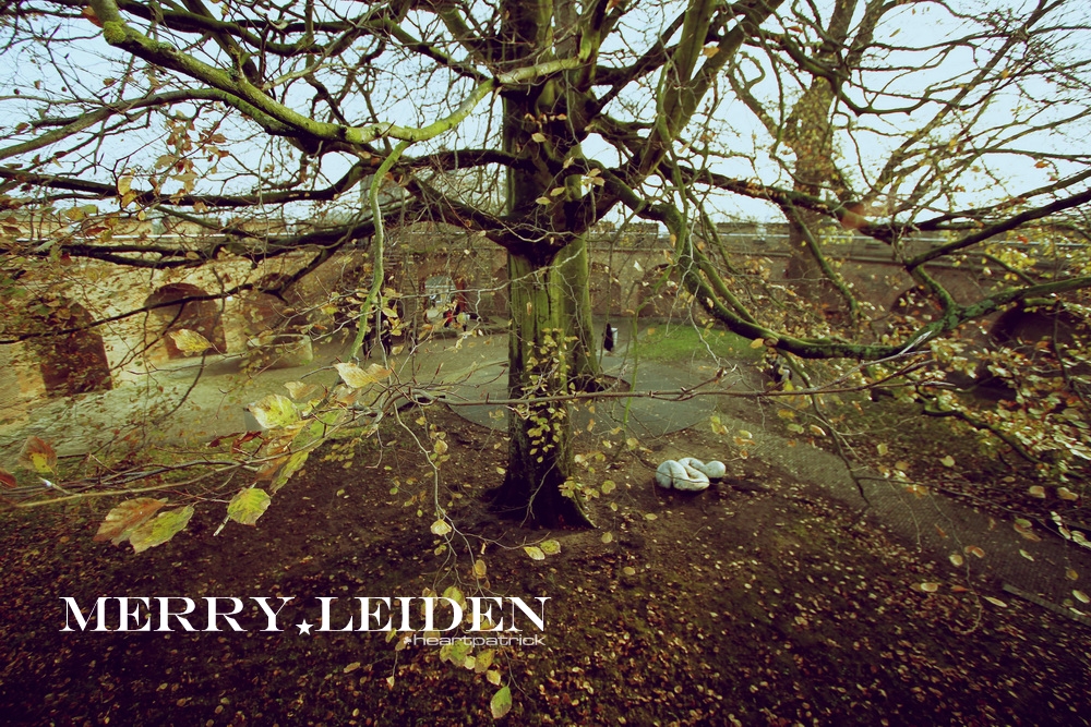 heartpatrick the hague antwerp leiden