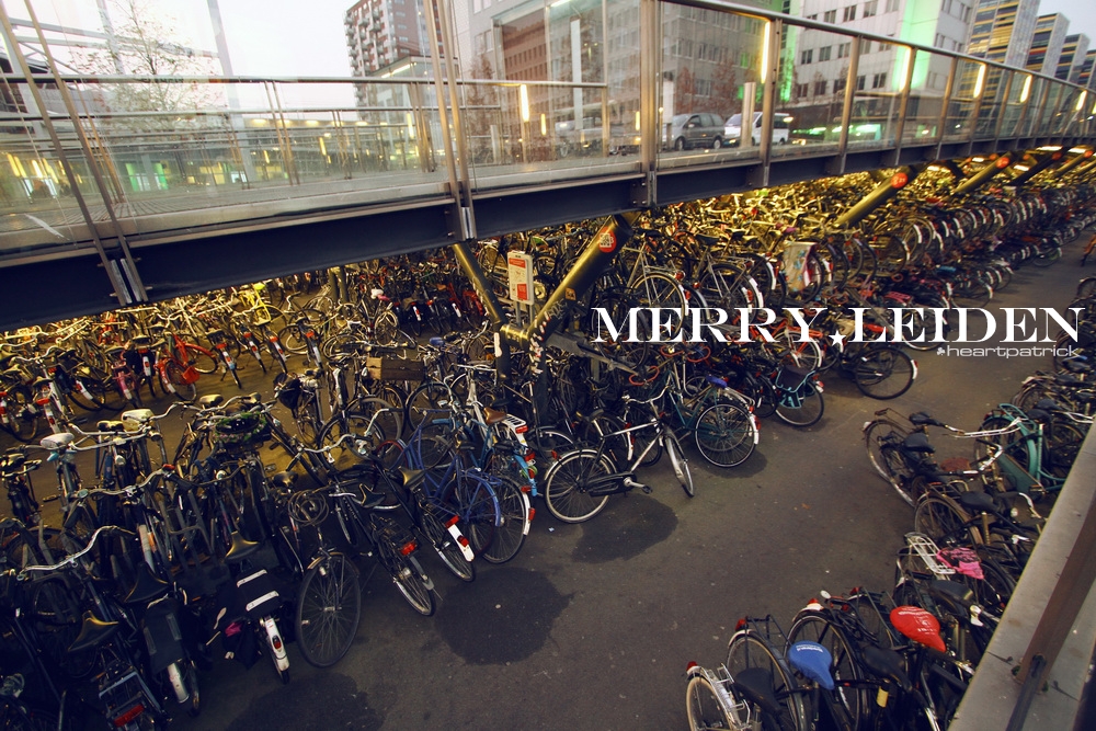 heartpatrick the hague antwerp leiden