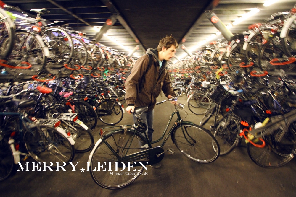 heartpatrick the hague antwerp leiden