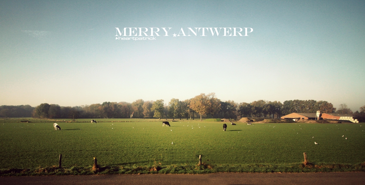 heartpatrick the hague antwerp leiden