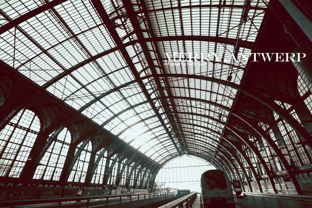 heartpatrick the hague antwerp leiden