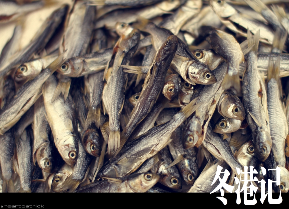 heartpatrick china hong kong street photography