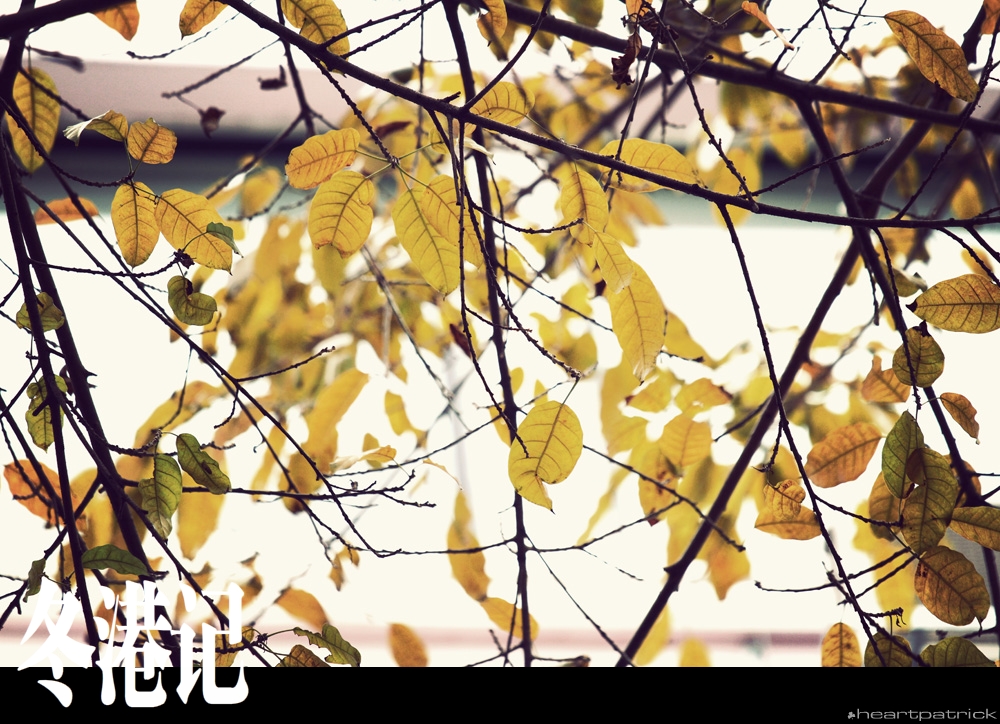 heartpatrick china hong kong street photography