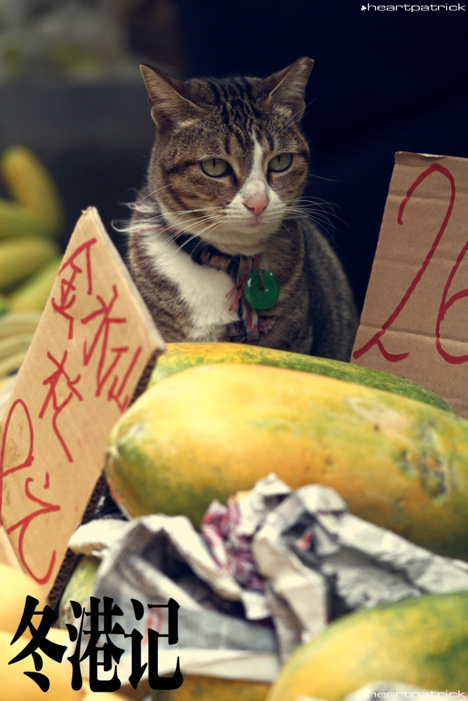 heartpatrick china hong kong street photography