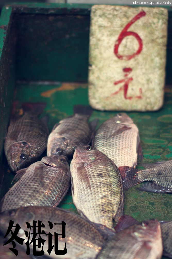 heartpatrick china hong kong street photography