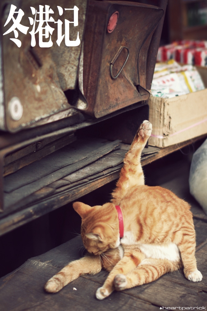 heartpatrick china hong kong street photography