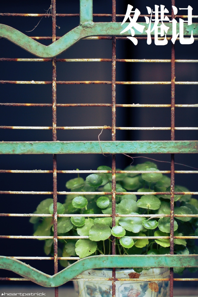 heartpatrick china hong kong street photography