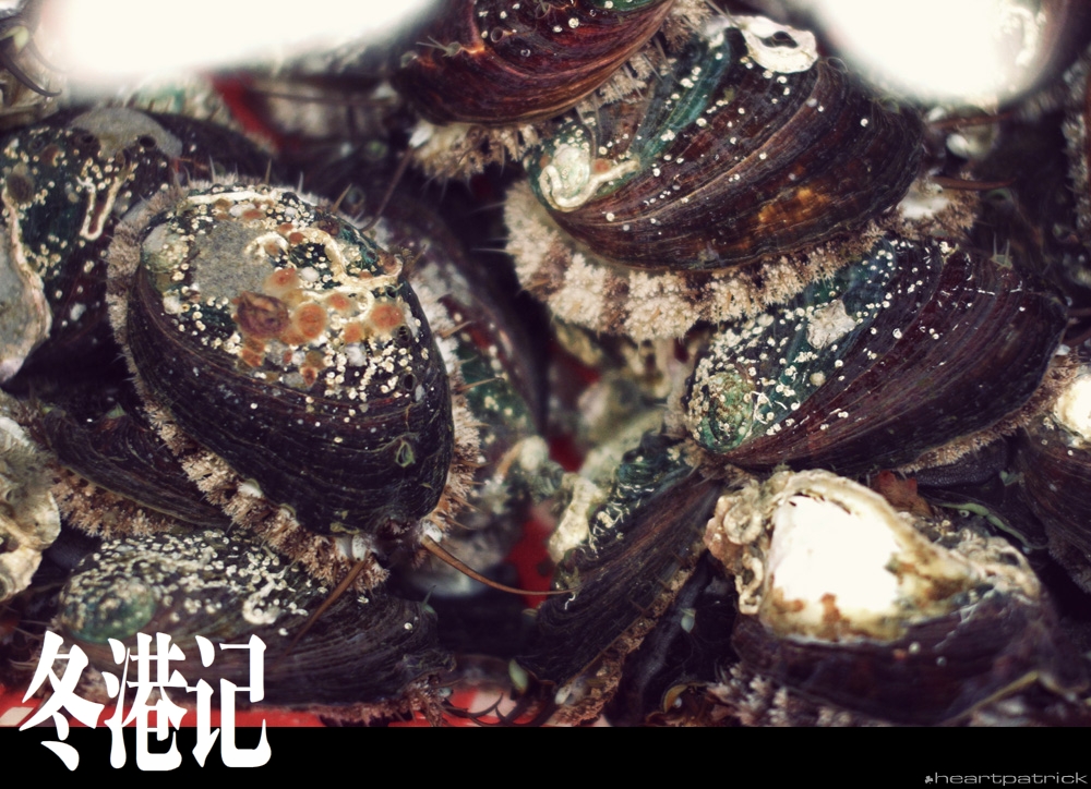 heartpatrick china hong kong street photography