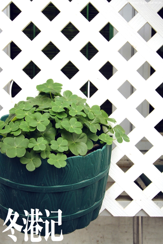 heartpatrick china hong kong street photography