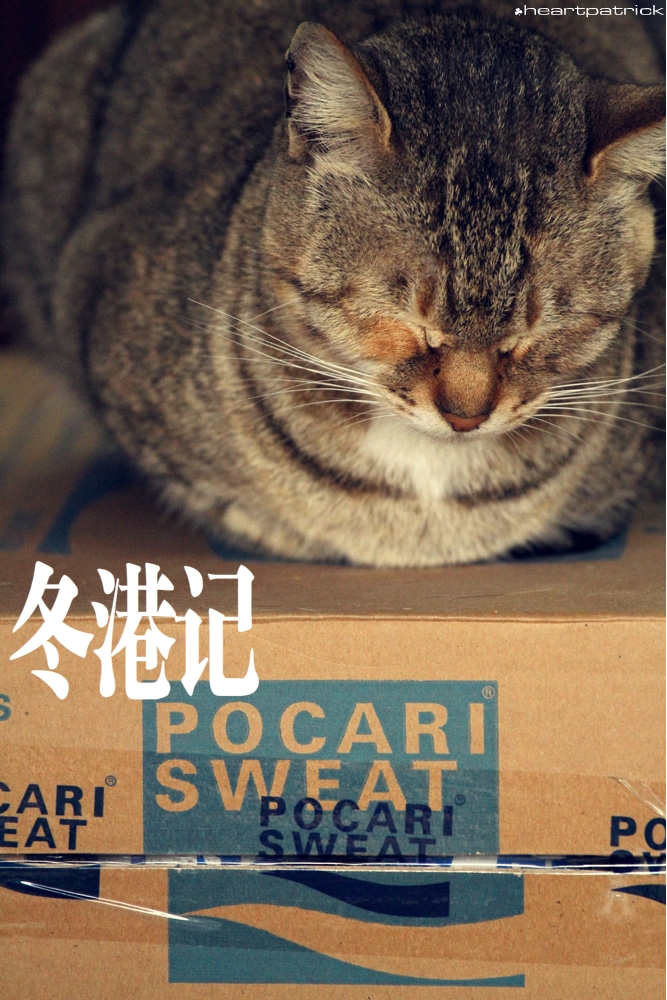 heartpatrick china hong kong street photography