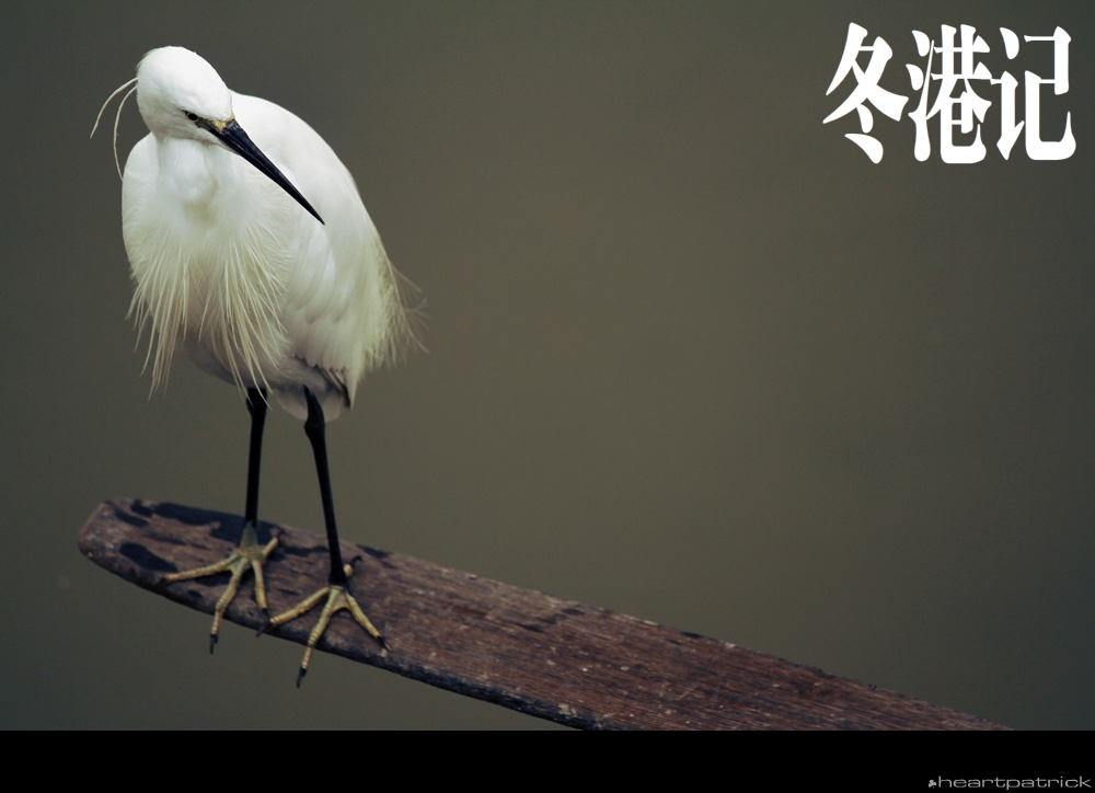 heartpatrick china hong kong street photography