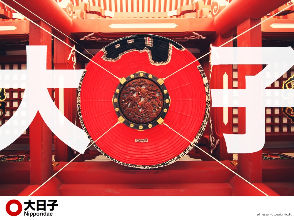 heartpatrick tokyo japan photojournalism street photography