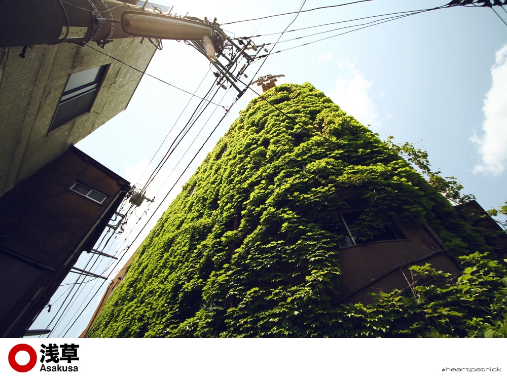 heartpatrick tokyo japan photojournalism street photography