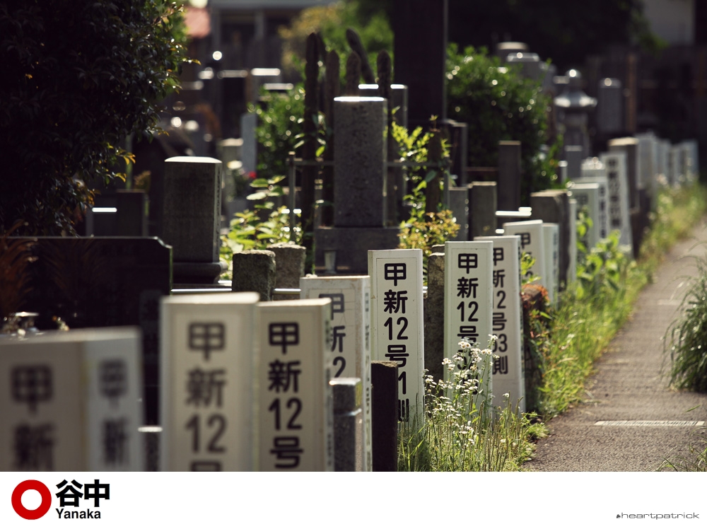 heartpatrick tokyo japan photojournalism street photography
