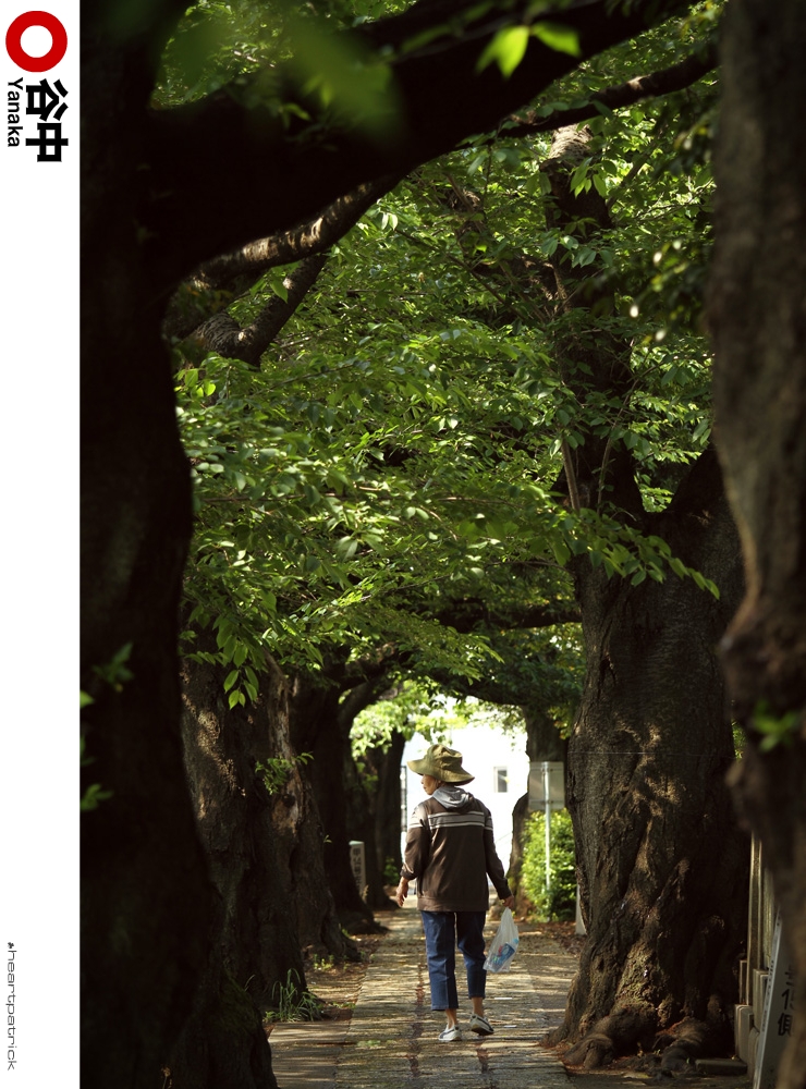 heartpatrick tokyo japan photojournalism street photography