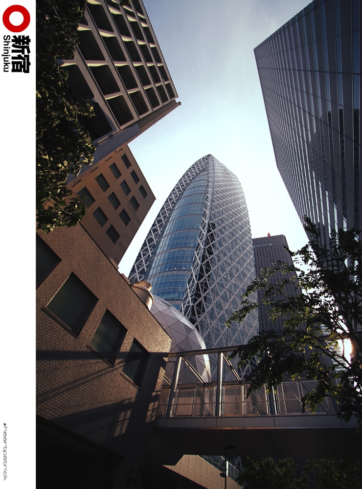 heartpatrick tokyo japan photojournalism street photography