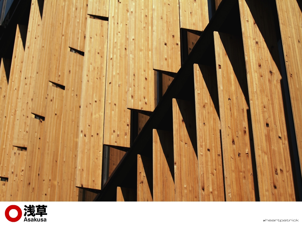 heartpatrick tokyo japan photojournalism street photography