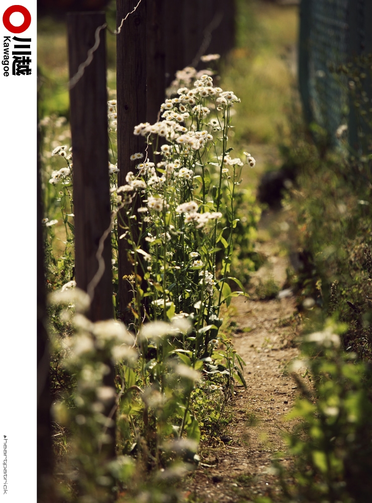 heartpatrick tokyo japan photojournalism street photography