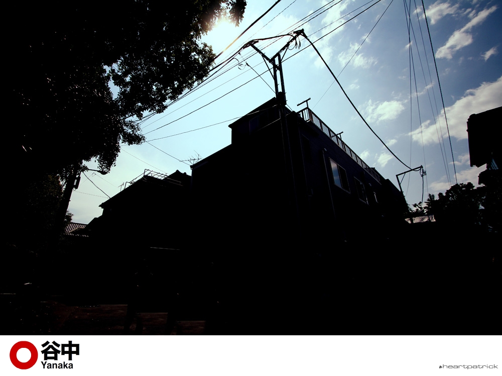 heartpatrick tokyo japan photojournalism street photography