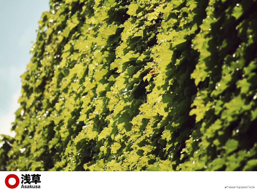 heartpatrick tokyo japan photojournalism street photography