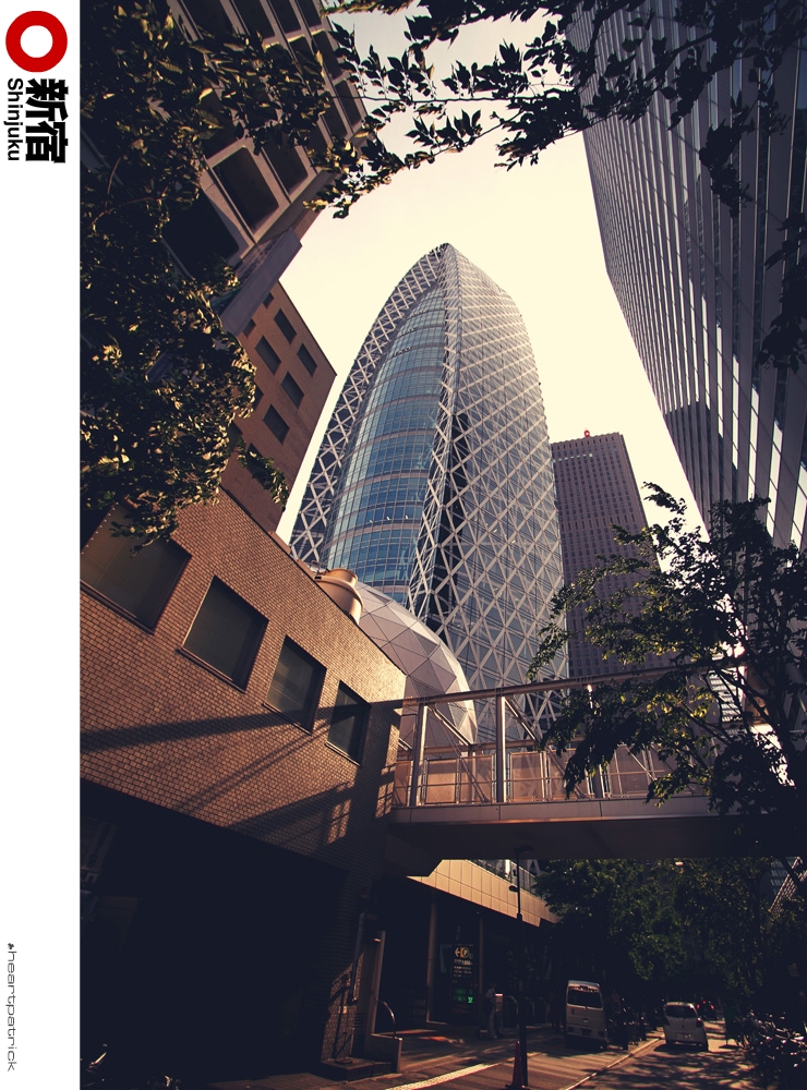 heartpatrick tokyo japan photojournalism street photography