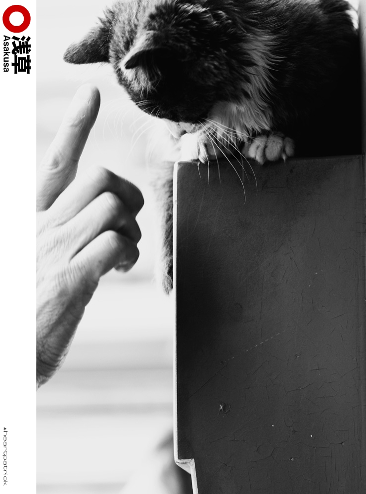 heartpatrick tokyo japan photojournalism street photography