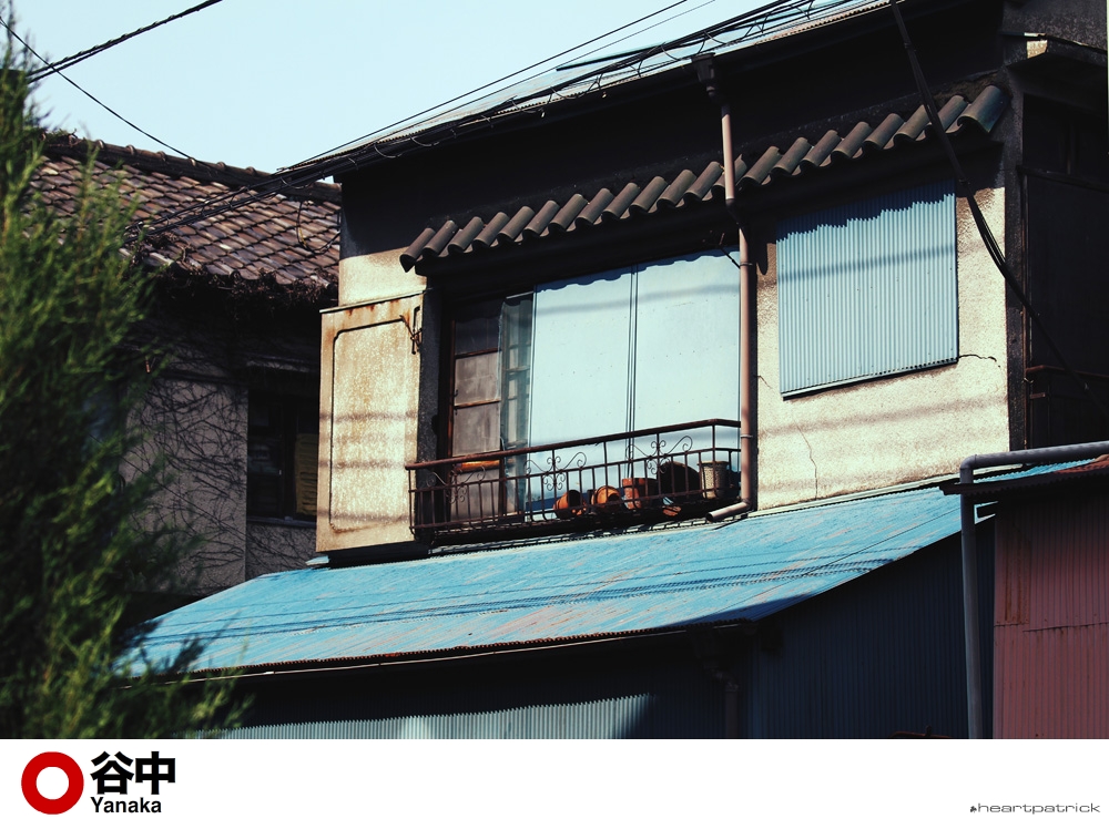 heartpatrick tokyo japan photojournalism street photography