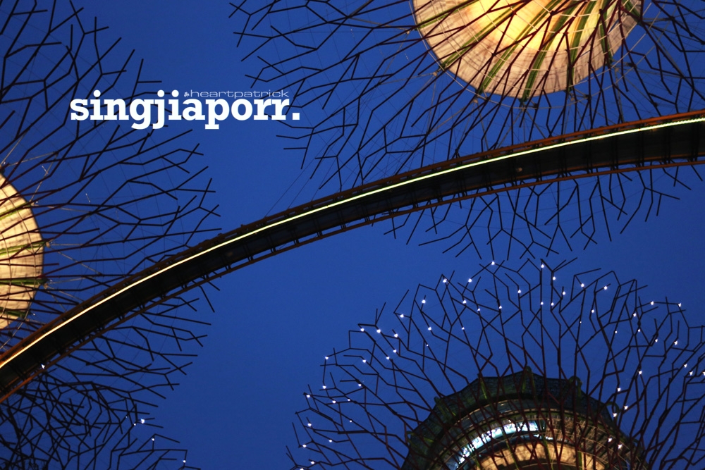 singapore photojournalism street photography gardens by the bay