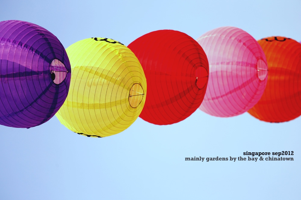 singapore photojournalism street photography gardens by the bay