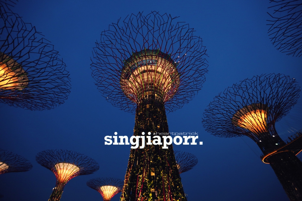 singapore photojournalism street photography gardens by the bay