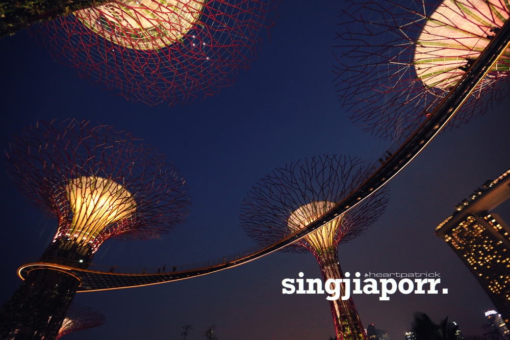 singapore photojournalism street photography gardens by the bay