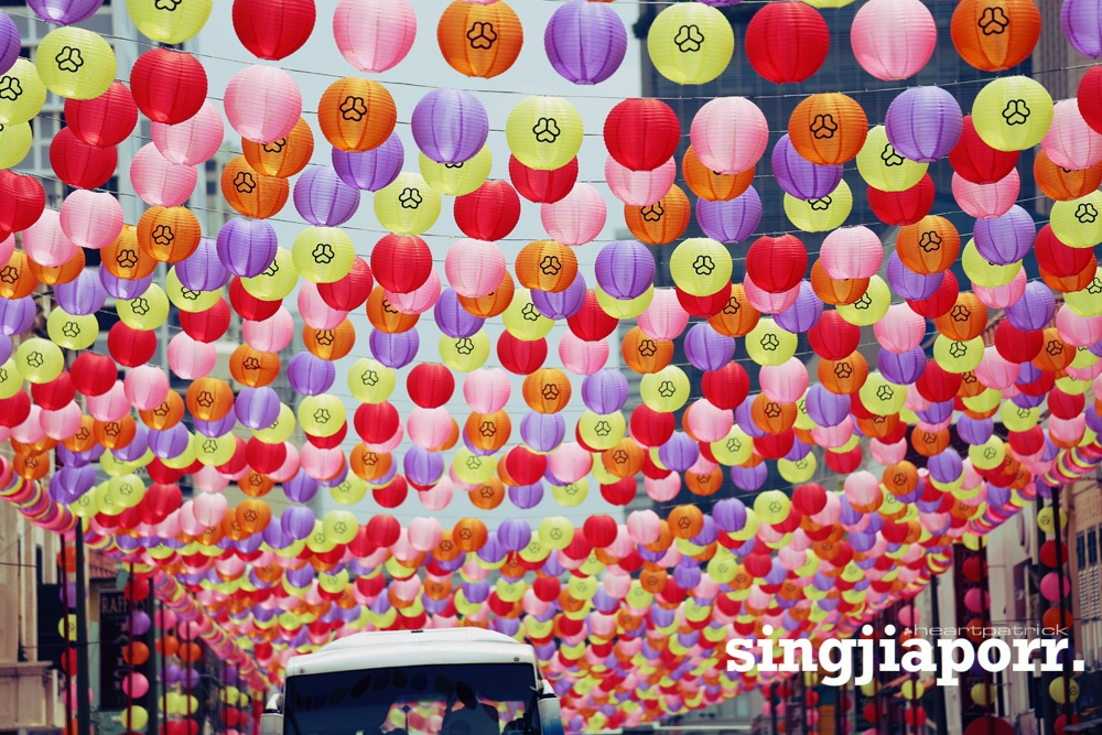 singapore photojournalism street photography gardens by the bay