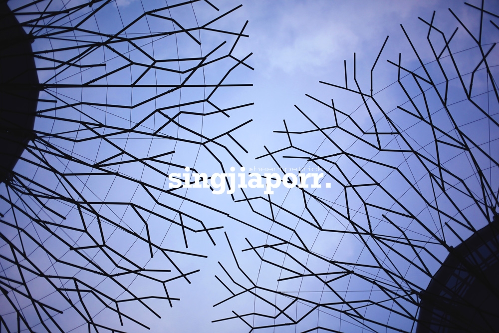 singapore photojournalism street photography gardens by the bay