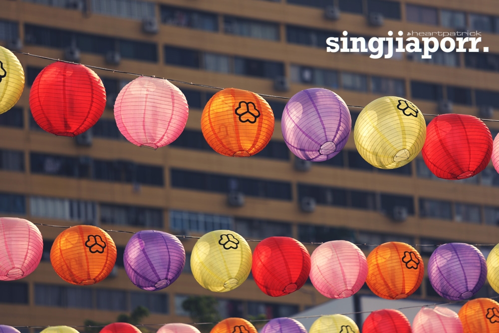 singapore photojournalism street photography gardens by the bay