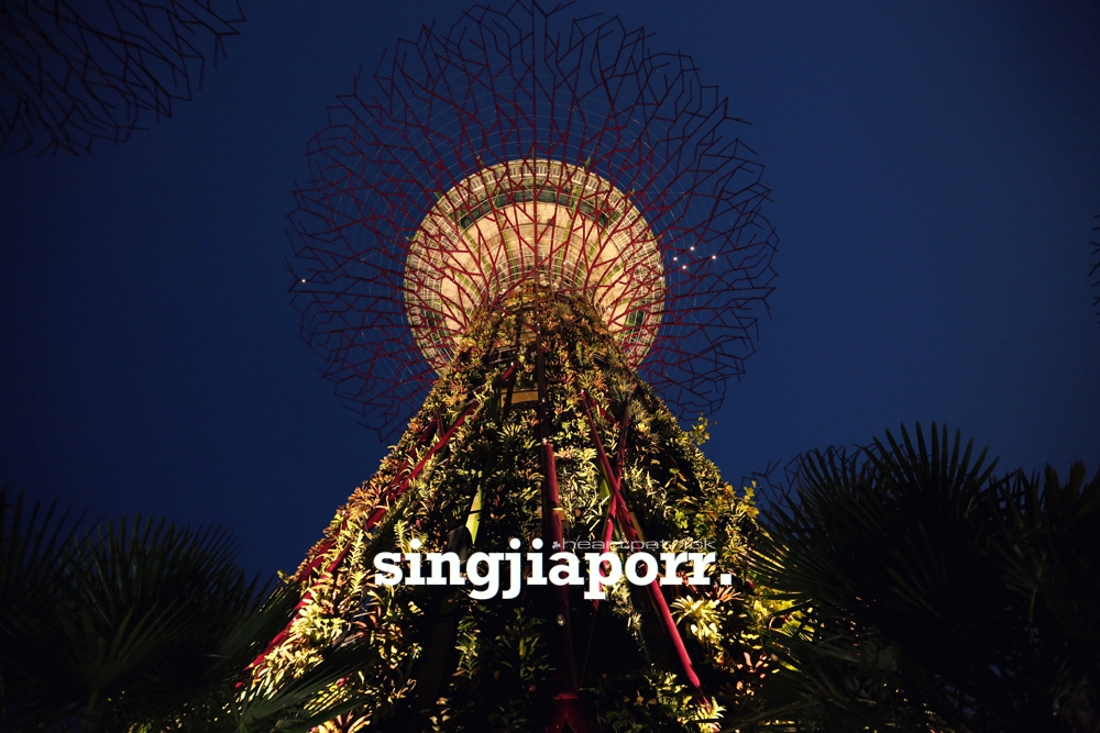 singapore photojournalism street photography gardens by the bay