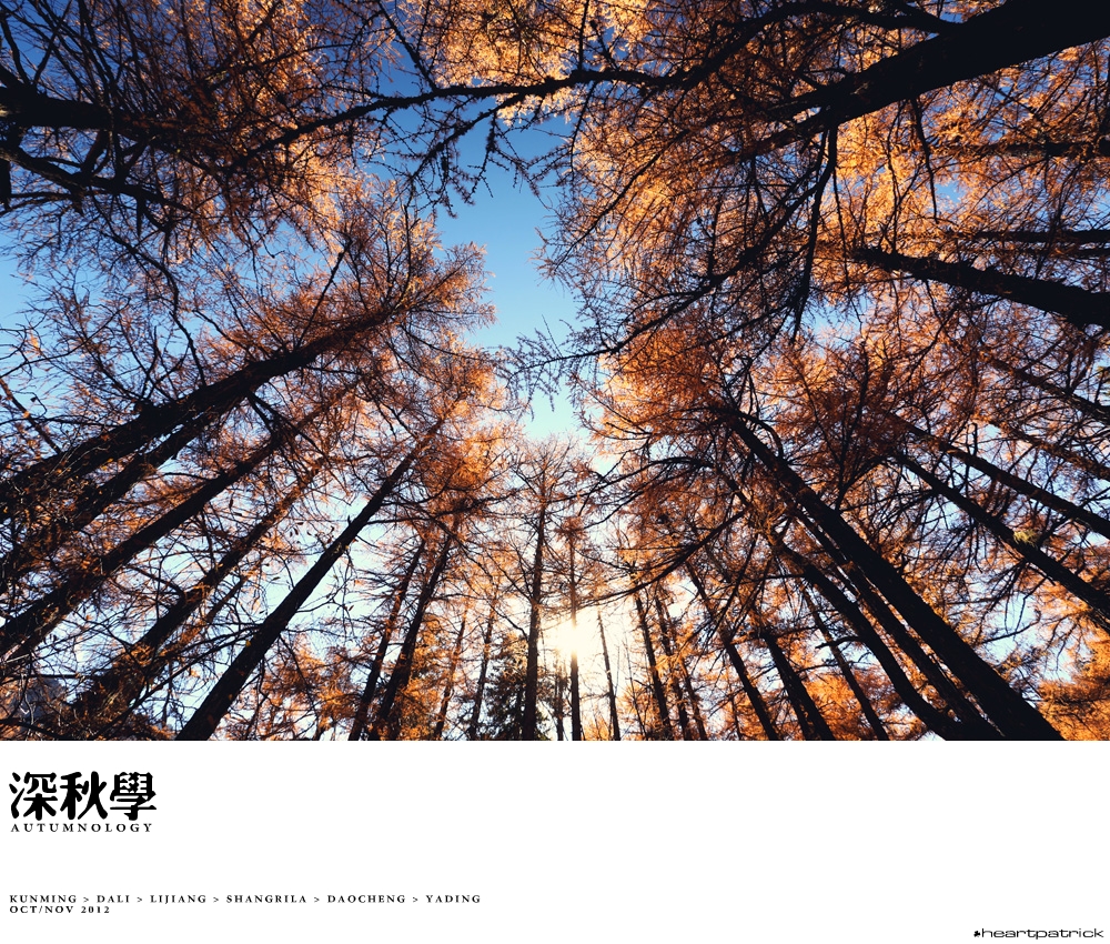 heartpatrick china autumn yunnan sichuan