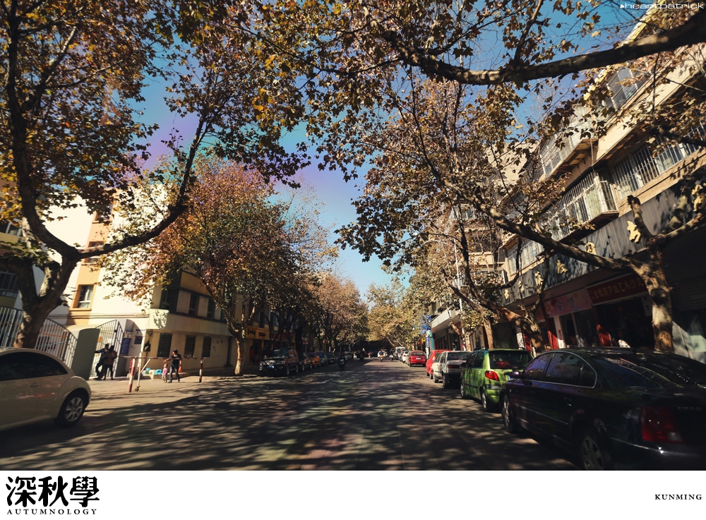 heartpatrick china autumn yunnan sichuan