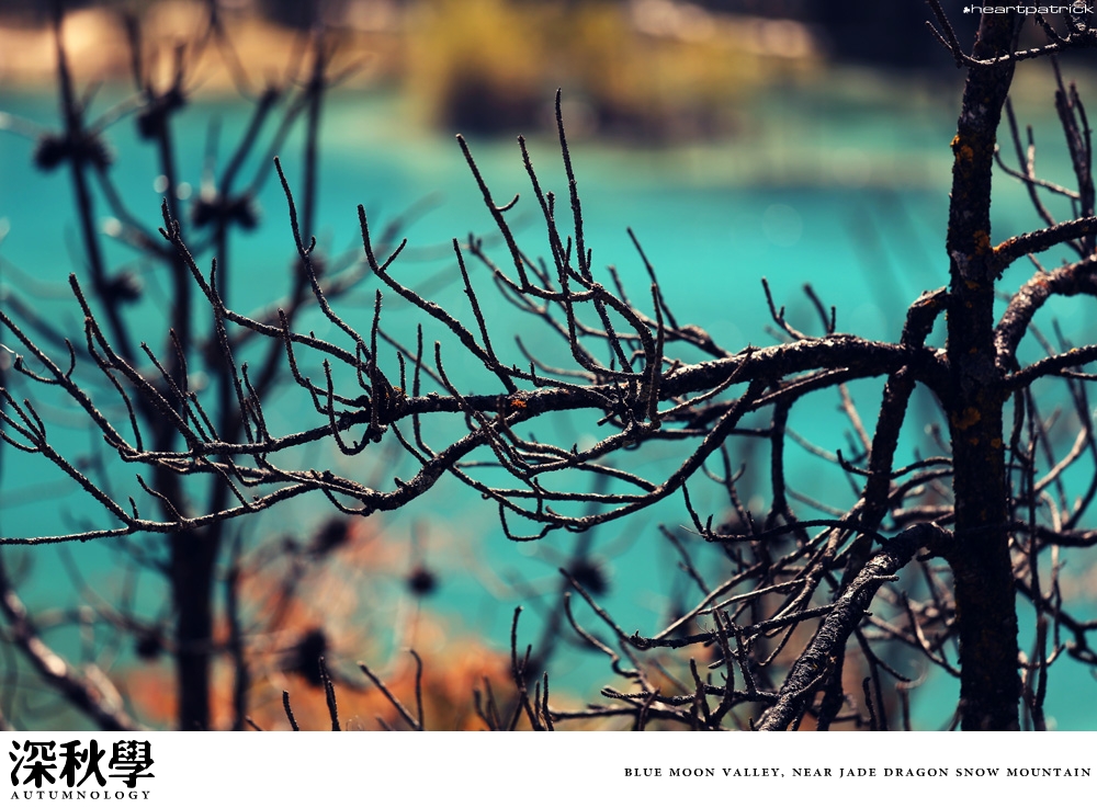 heartpatrick china autumn yunnan sichuan