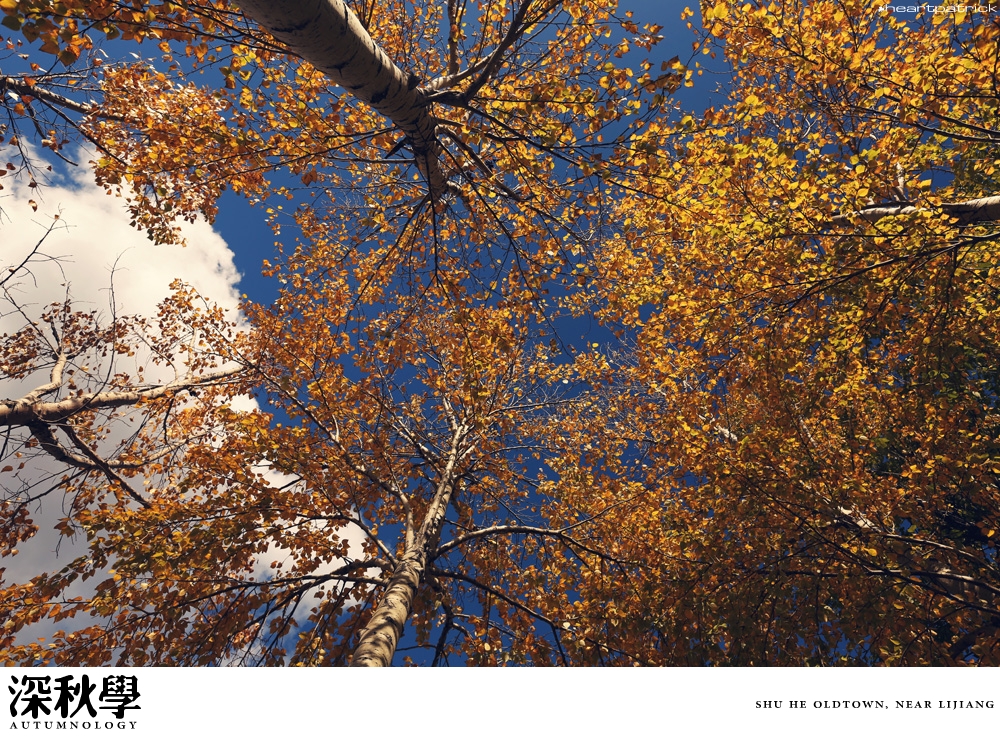 heartpatrick china autumn yunnan sichuan