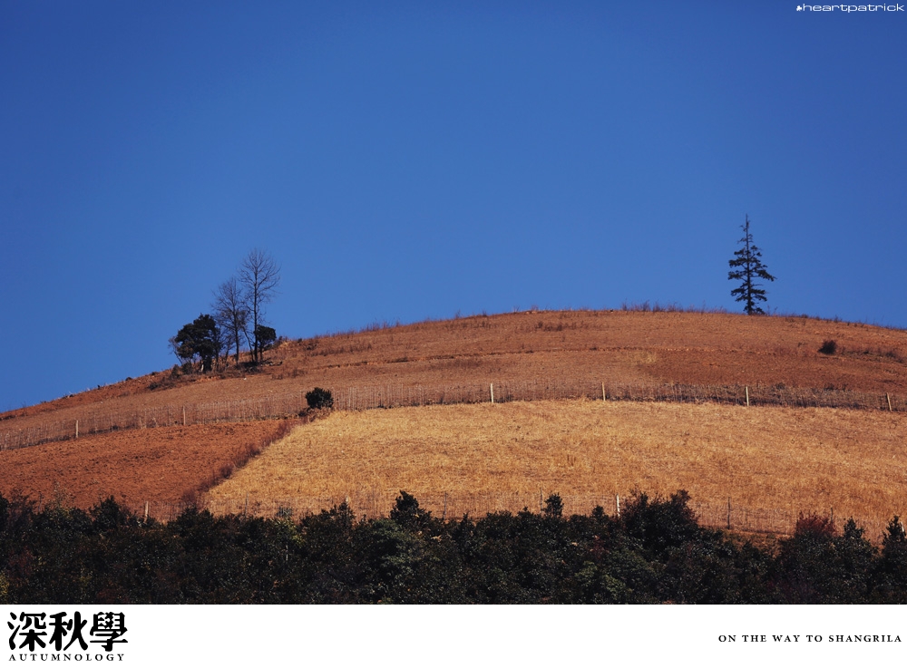 heartpatrick china autumn yunnan sichuan