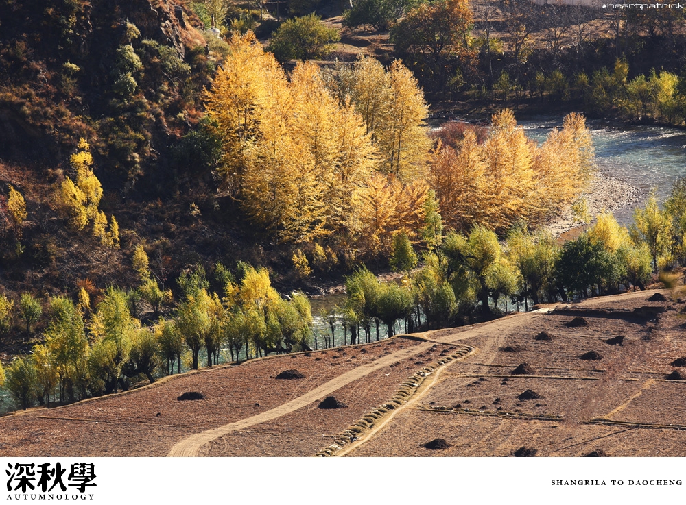 heartpatrick china autumn yunnan sichuan