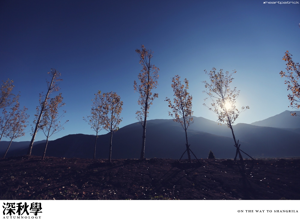 heartpatrick china autumn yunnan sichuan