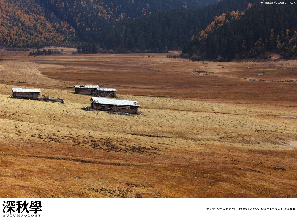 heartpatrick china autumn yunnan sichuan